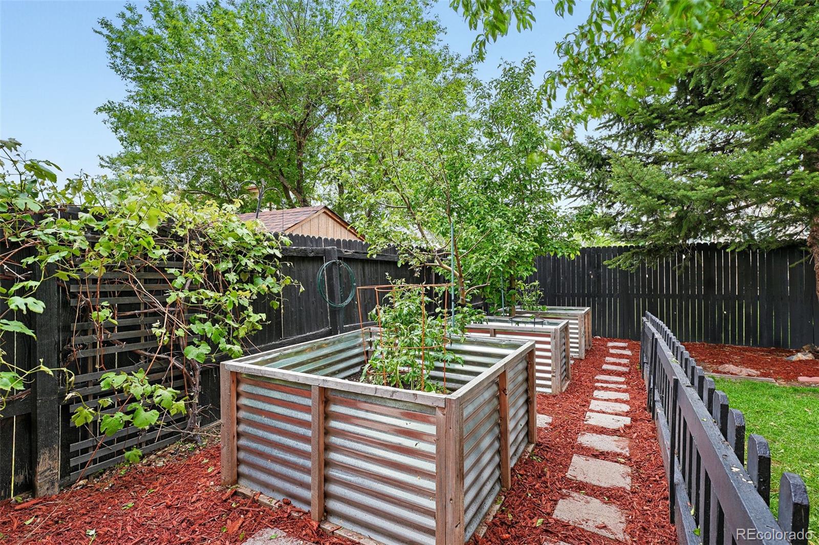 MLS Image #43 for 6830  lamar street,arvada, Colorado