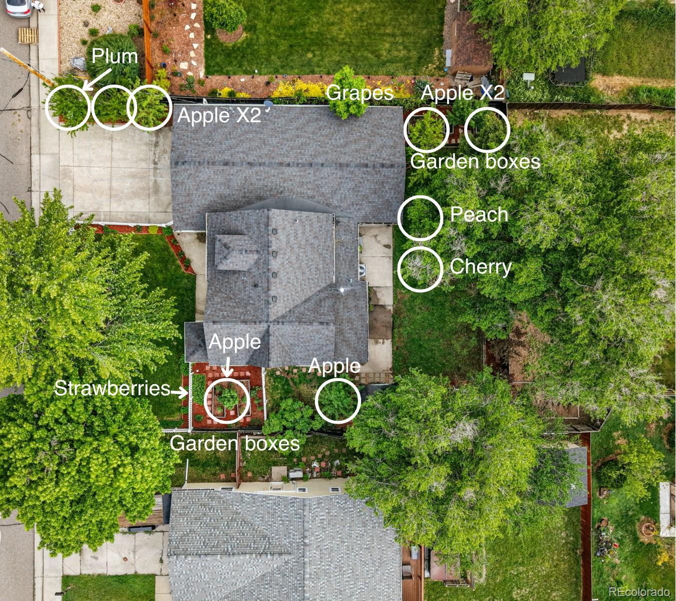 MLS Image #45 for 6830  lamar street,arvada, Colorado