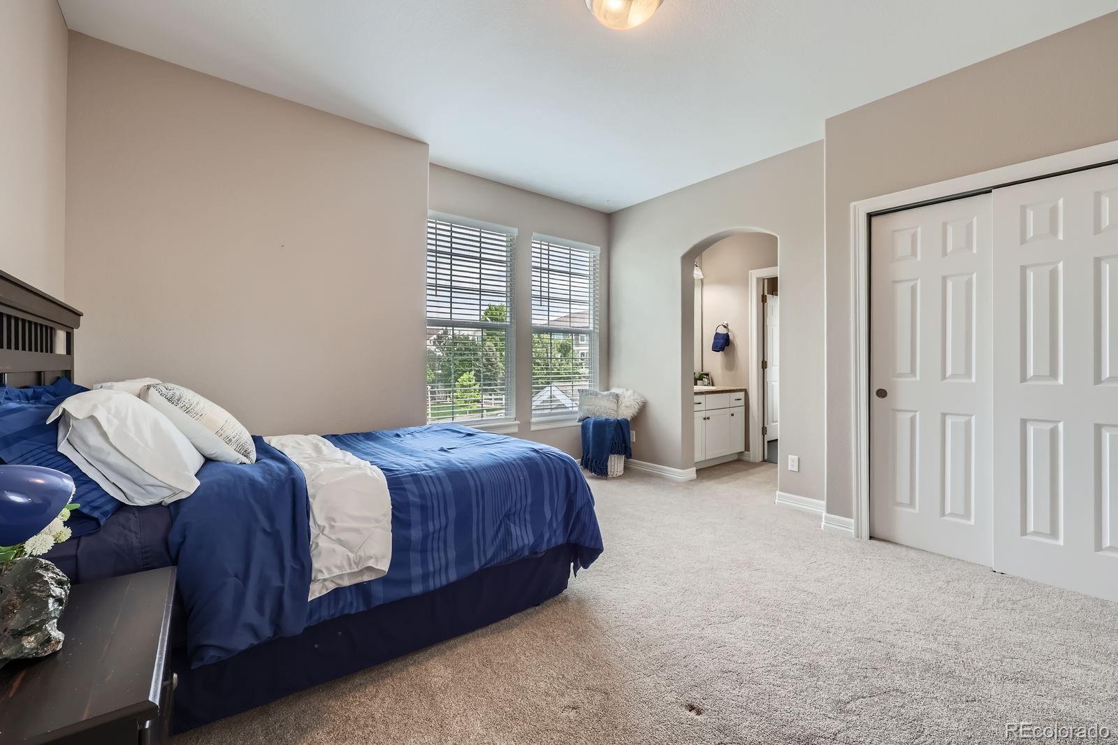 MLS Image #21 for 8469  winter berry drive,castle pines, Colorado