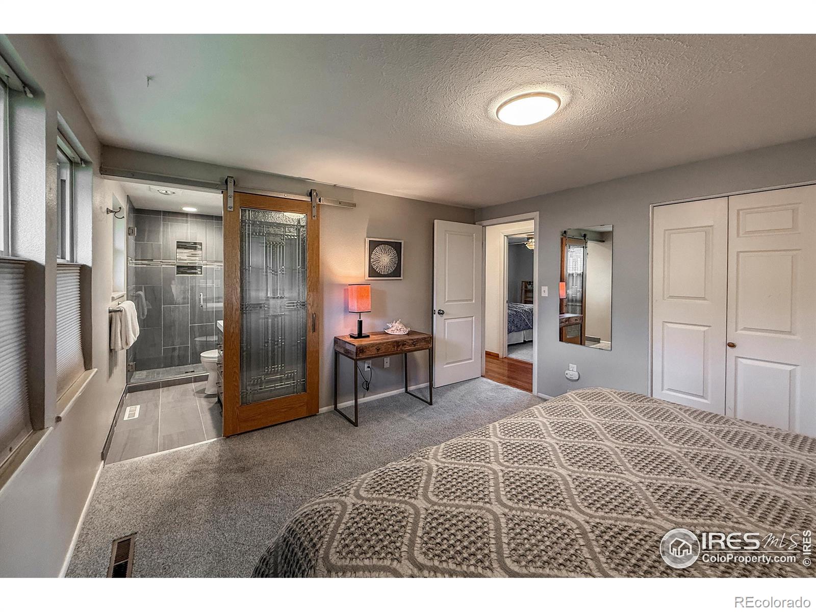 MLS Image #15 for 1005  cimmeron drive,loveland, Colorado