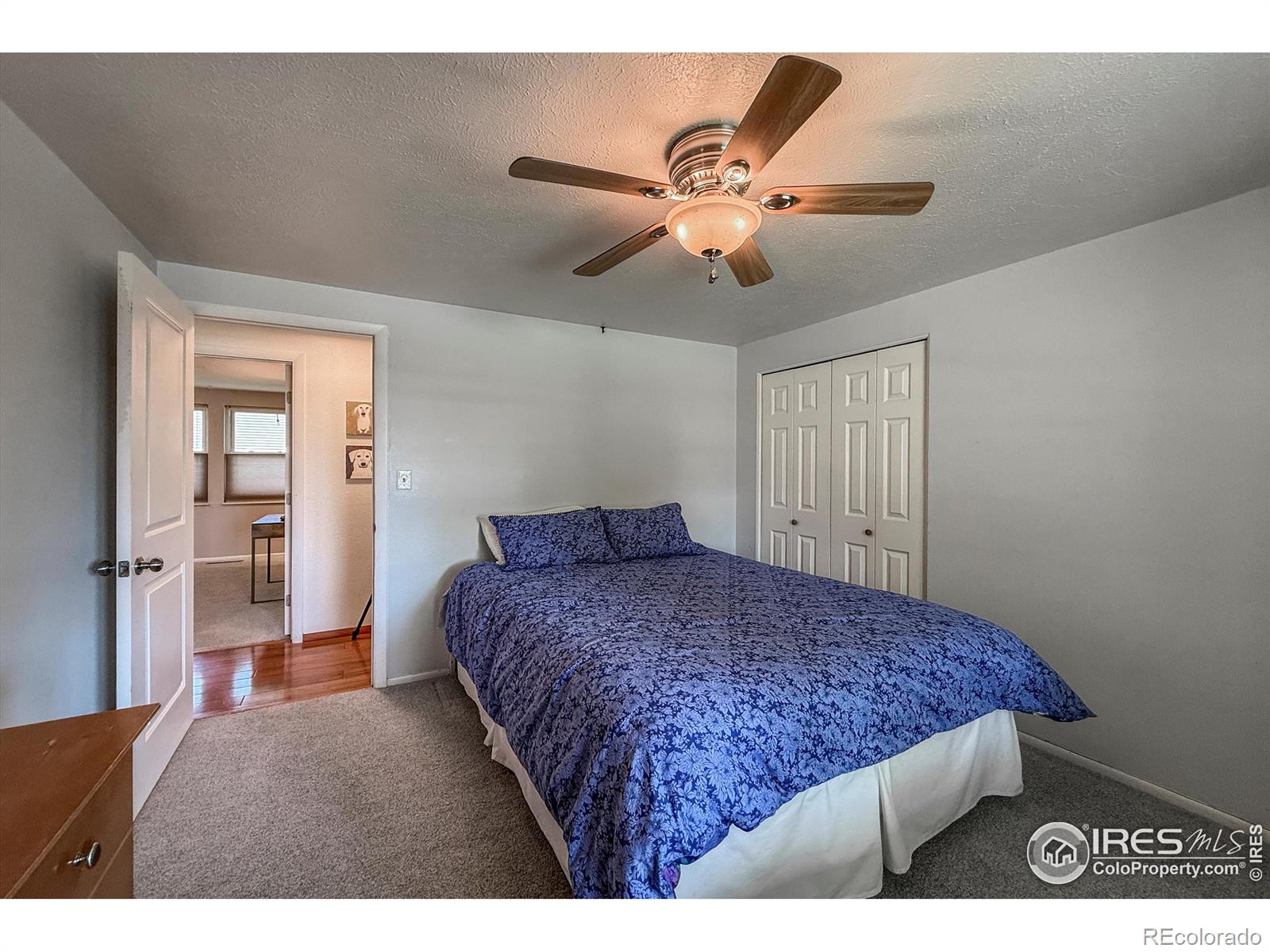 MLS Image #20 for 1005  cimmeron drive,loveland, Colorado