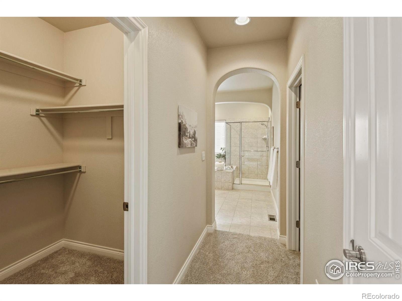 MLS Image #23 for 2315  haymeadow way,fort collins, Colorado
