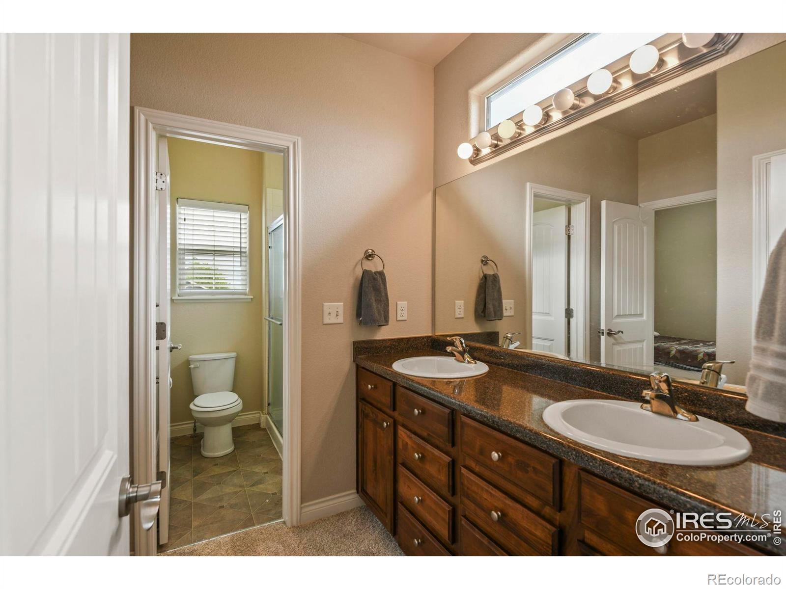 MLS Image #28 for 2315  haymeadow way,fort collins, Colorado