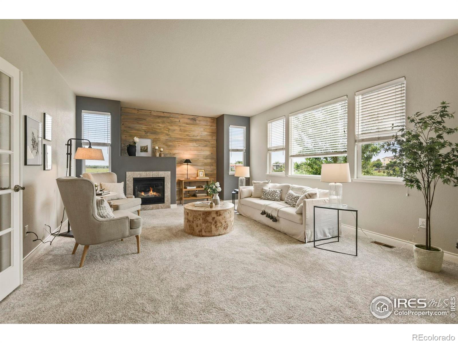 MLS Image #9 for 2315  haymeadow way,fort collins, Colorado