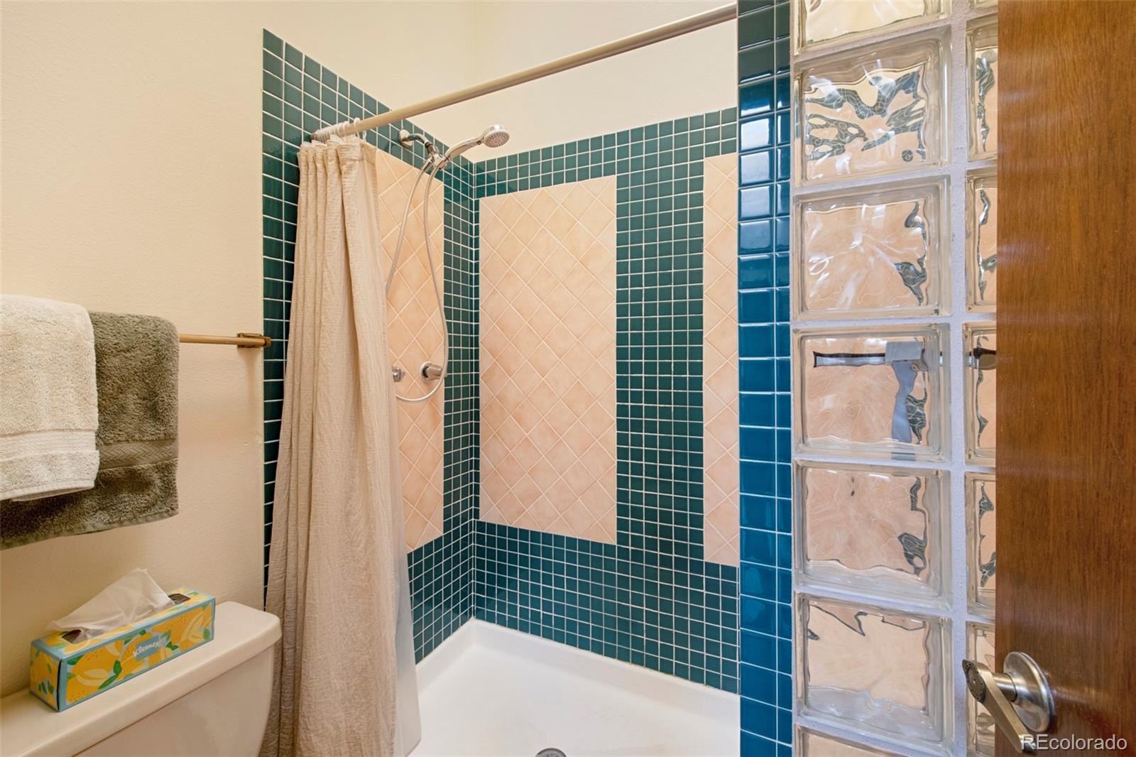 MLS Image #20 for 7226 s eagles nest circle,littleton, Colorado