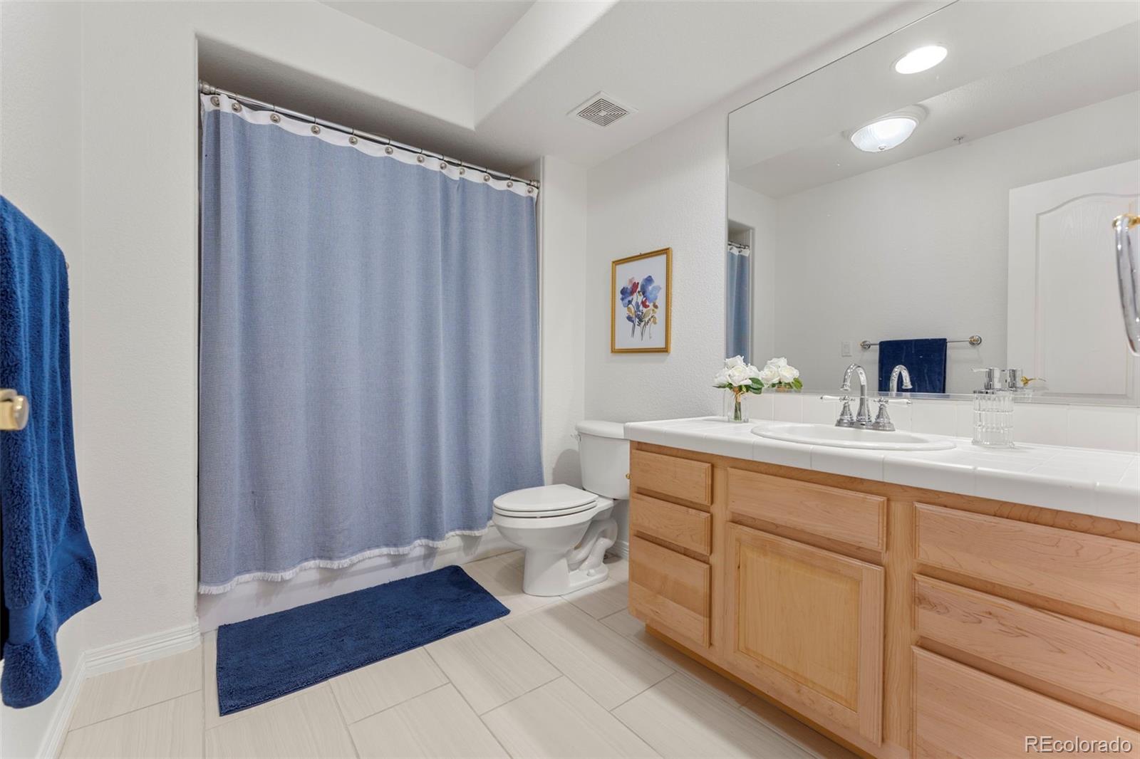 MLS Image #11 for 3104  ramshorn drive,castle rock, Colorado
