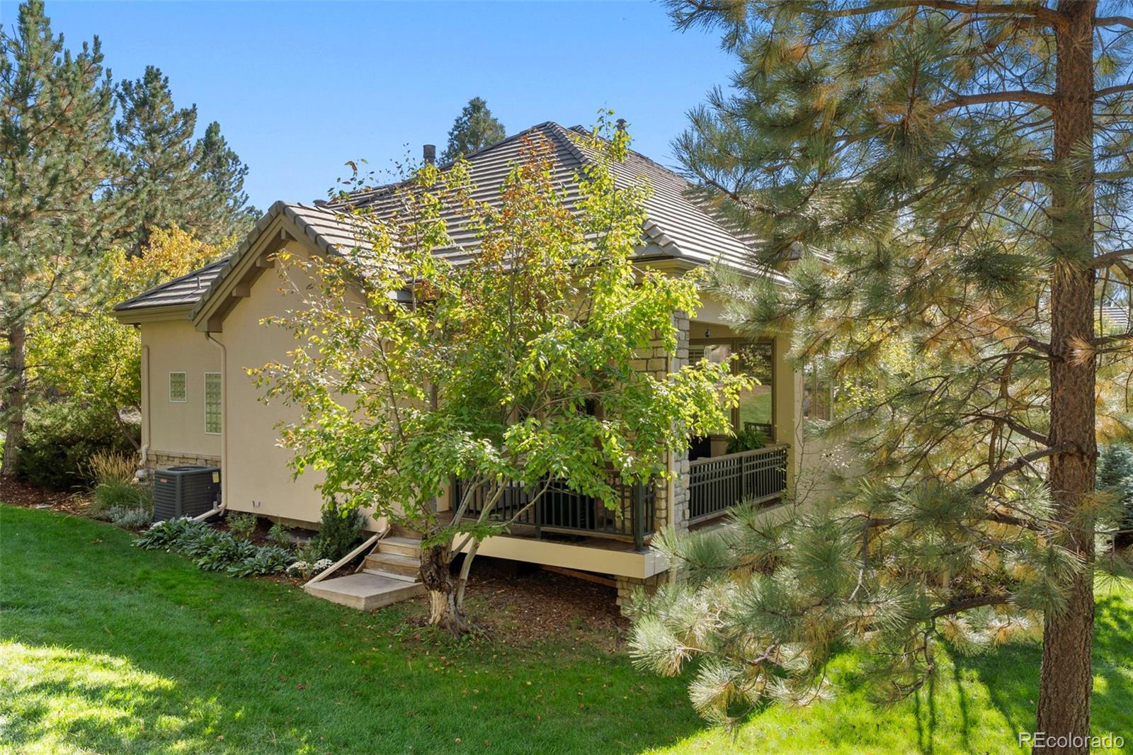 MLS Image #16 for 3104  ramshorn drive,castle rock, Colorado