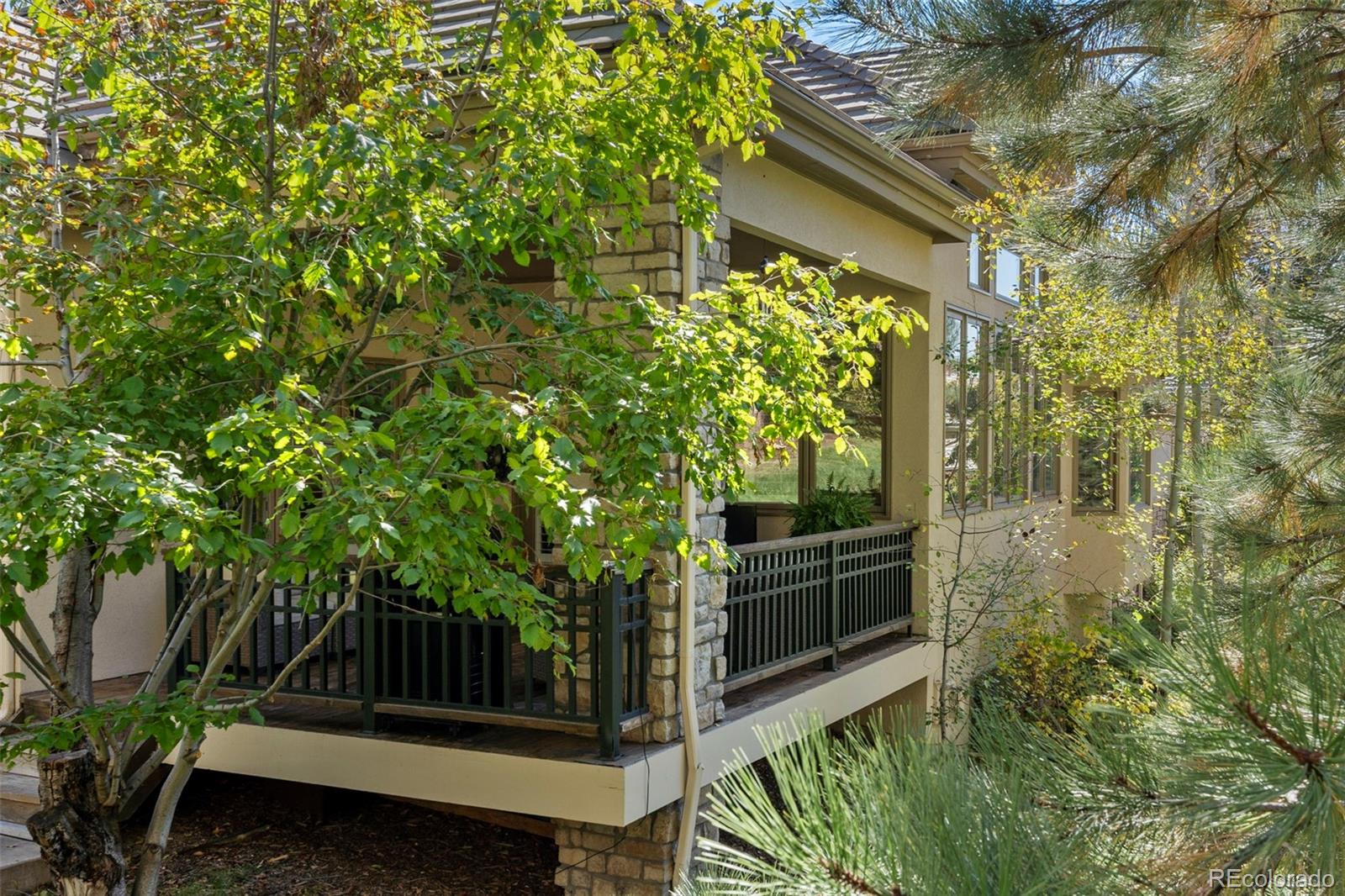 MLS Image #17 for 3104  ramshorn drive,castle rock, Colorado