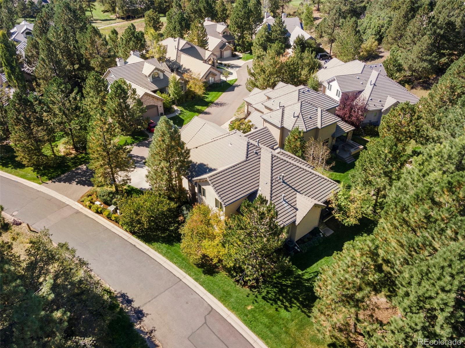 MLS Image #2 for 3104  ramshorn drive,castle rock, Colorado