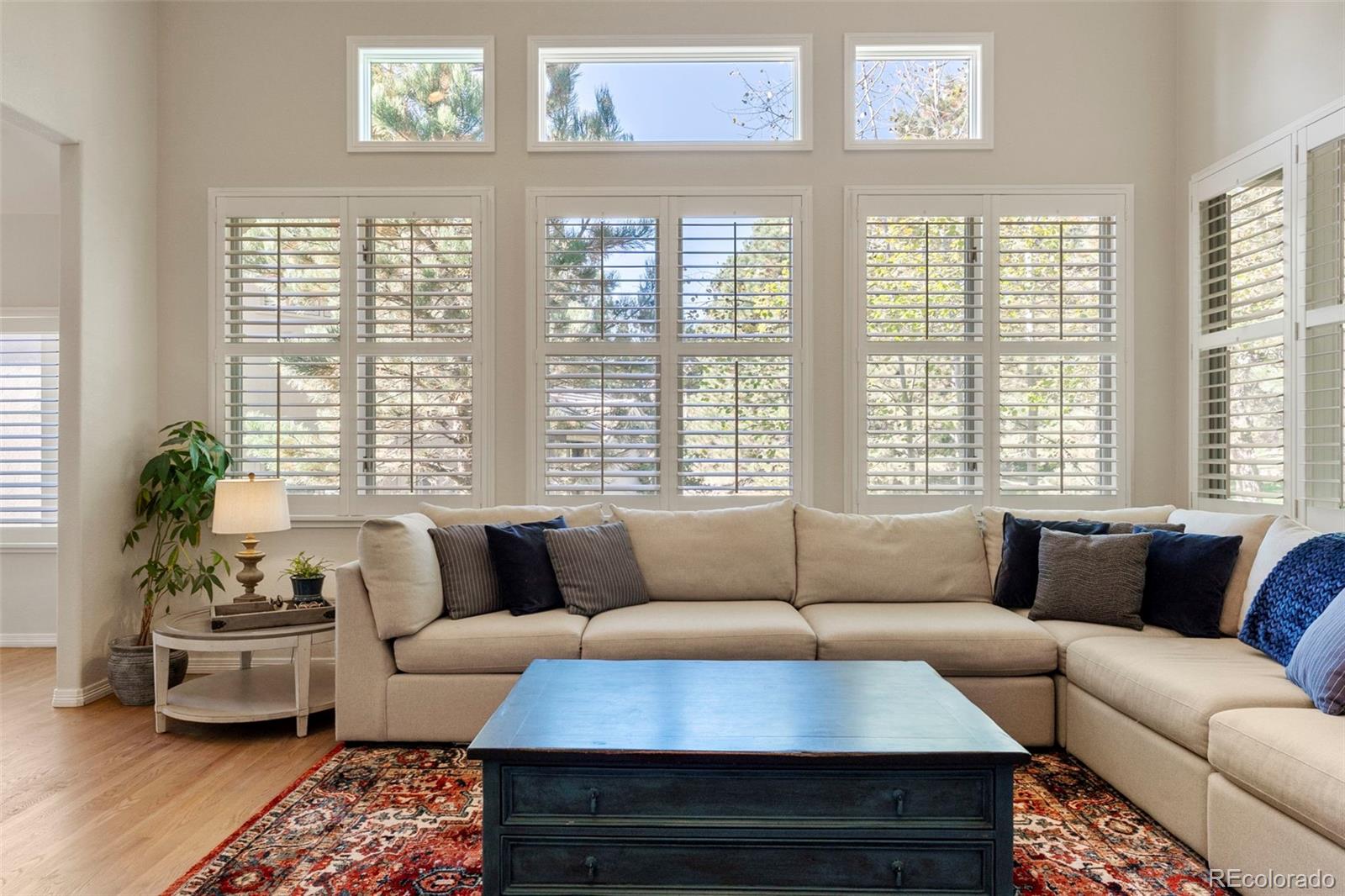 MLS Image #30 for 3104  ramshorn drive,castle rock, Colorado
