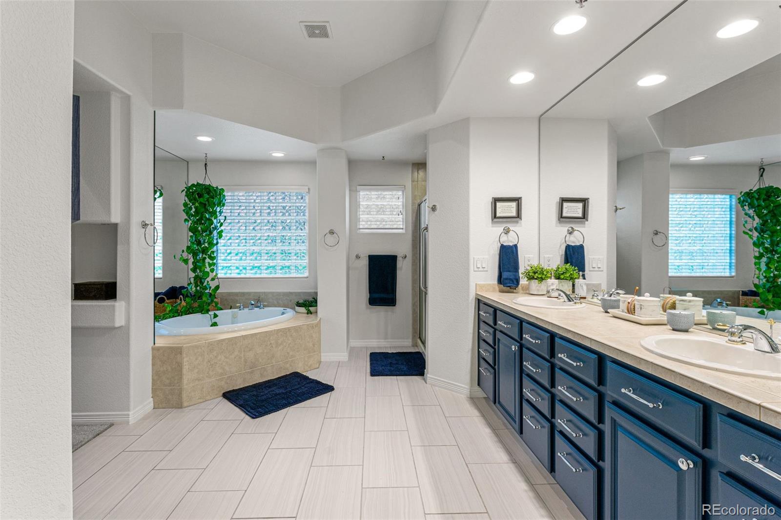 MLS Image #6 for 3104  ramshorn drive,castle rock, Colorado