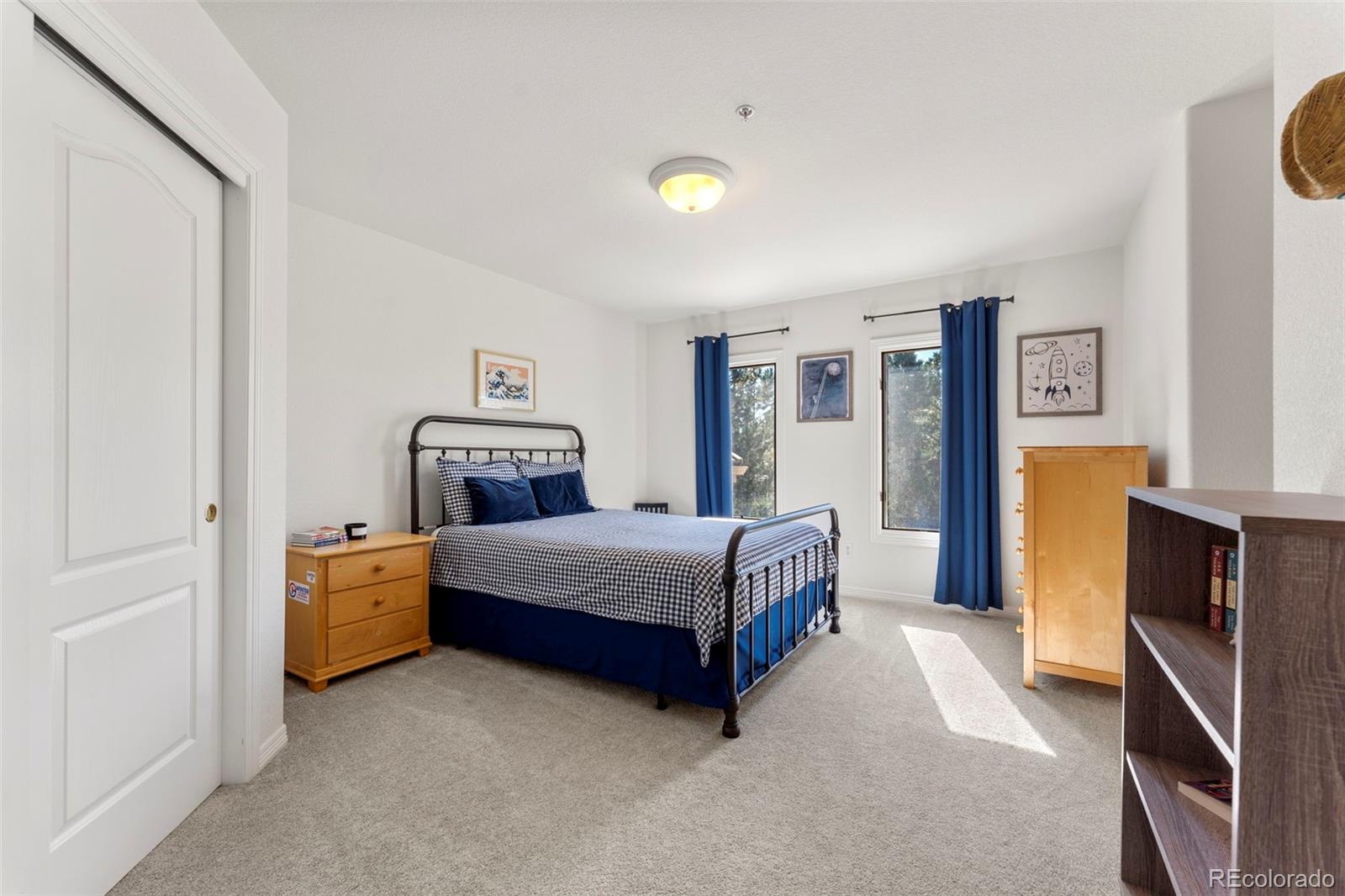 MLS Image #8 for 3104  ramshorn drive,castle rock, Colorado