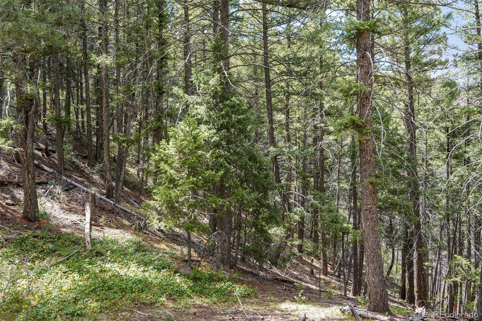 MLS Image #7 for 15947 s perry park road,palmer lake, Colorado