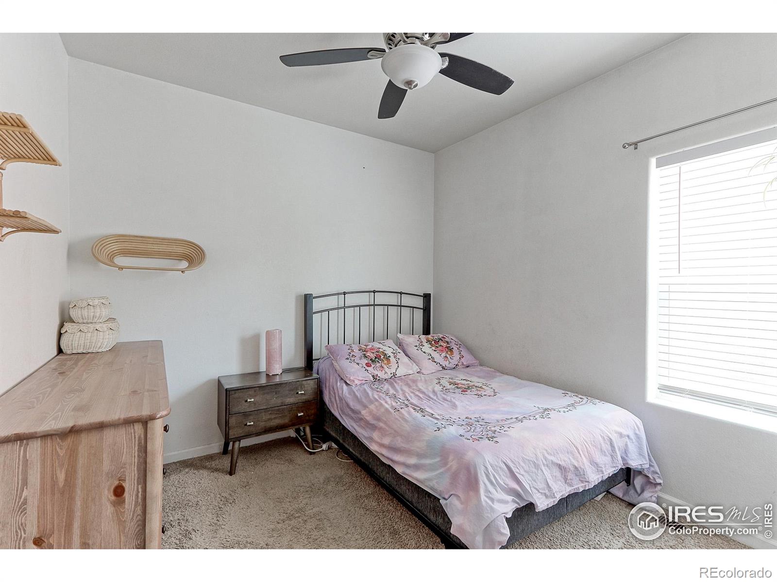 MLS Image #10 for 5681  legacy parkway,dacono, Colorado