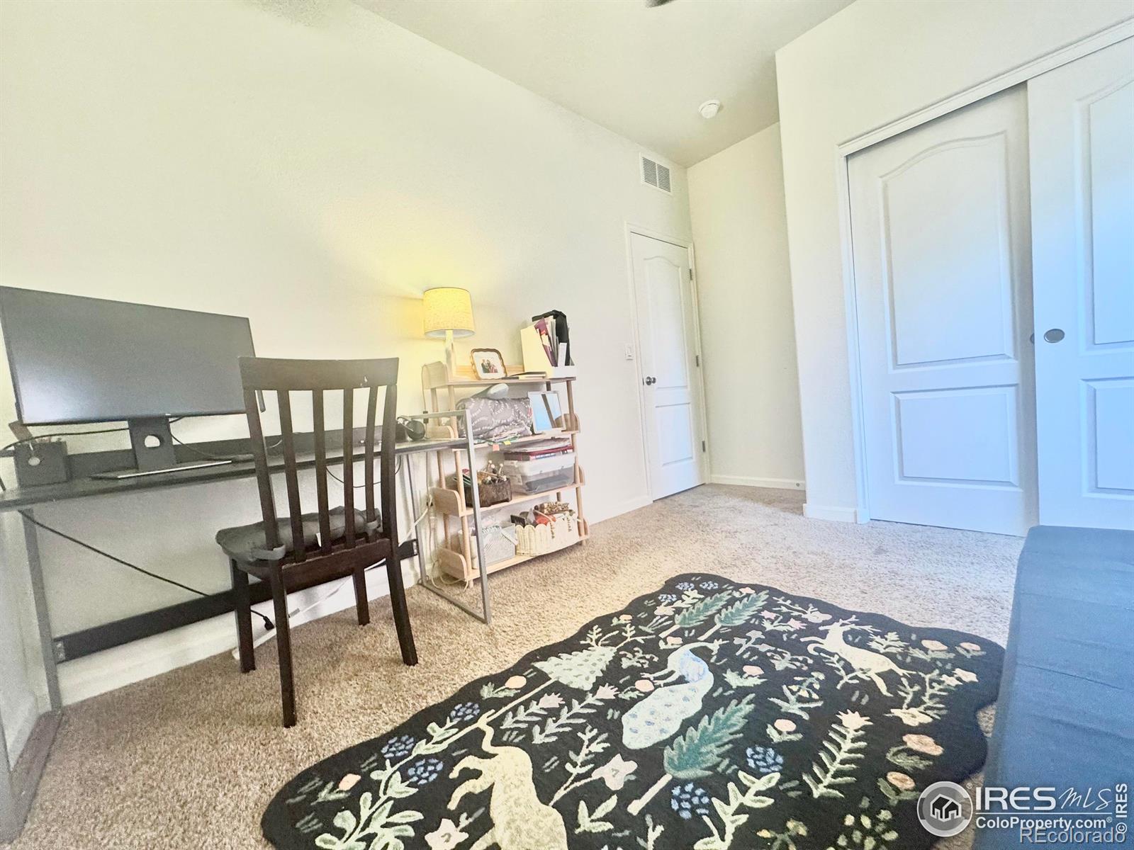 MLS Image #13 for 5681  legacy parkway,dacono, Colorado