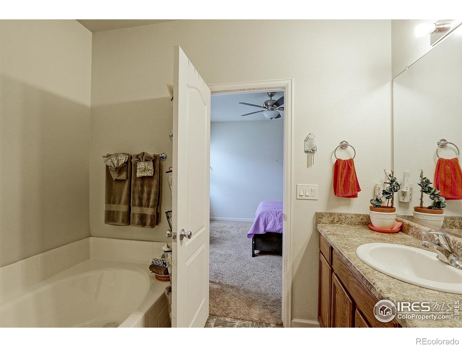MLS Image #9 for 5681  legacy parkway,dacono, Colorado