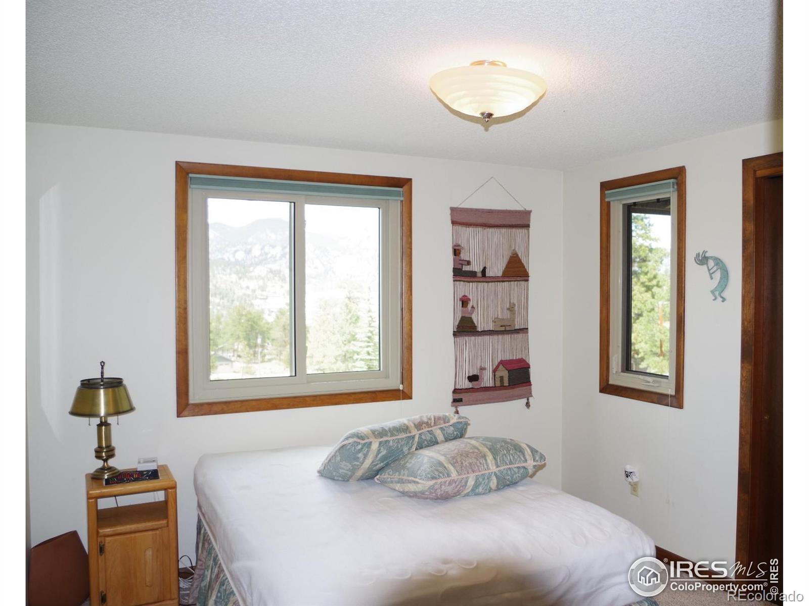 MLS Image #25 for 730  spring street,estes park, Colorado