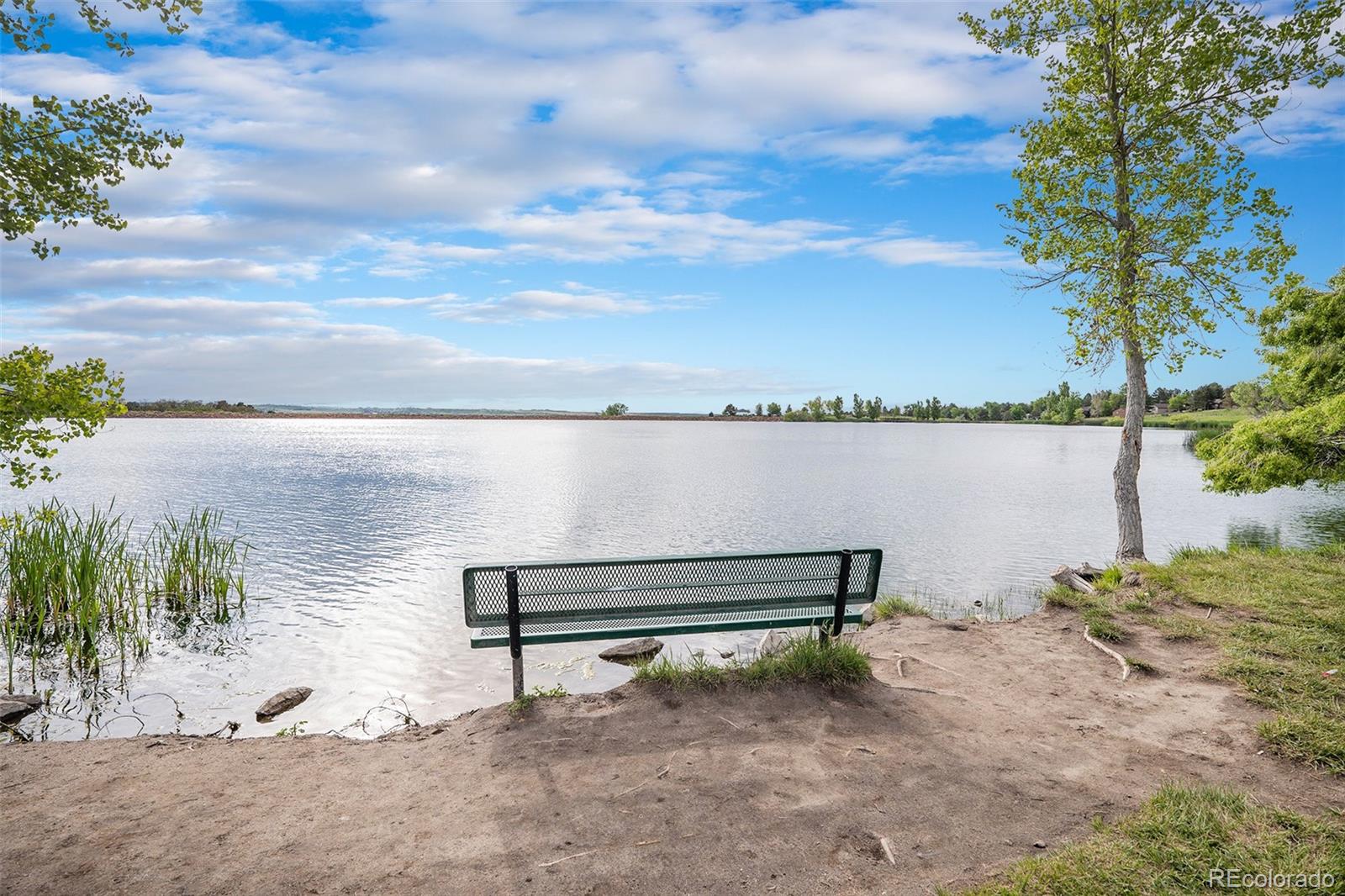 MLS Image #36 for 5855  saddle creek trail,parker, Colorado
