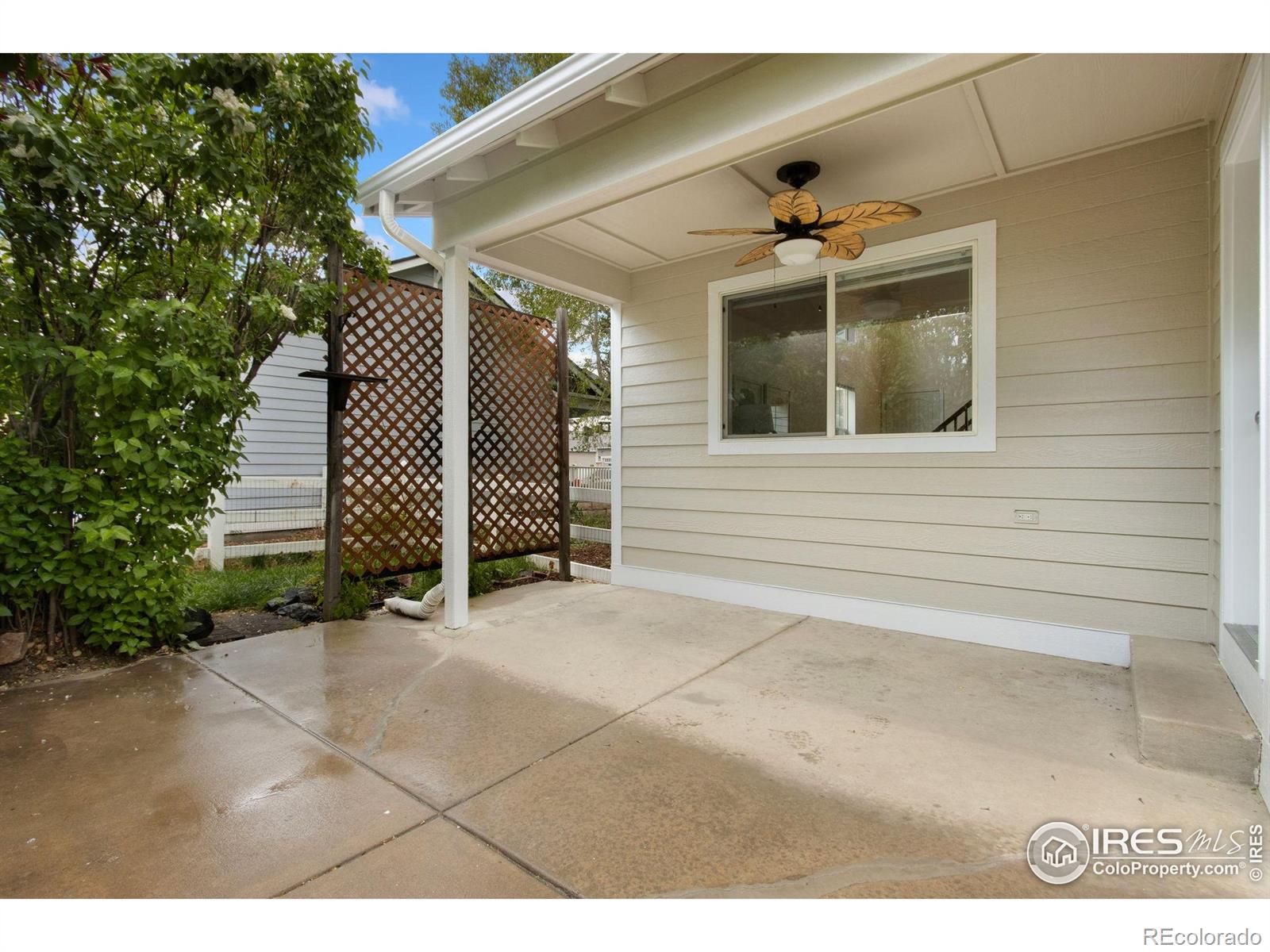 MLS Image #17 for 1382  warbler street,loveland, Colorado