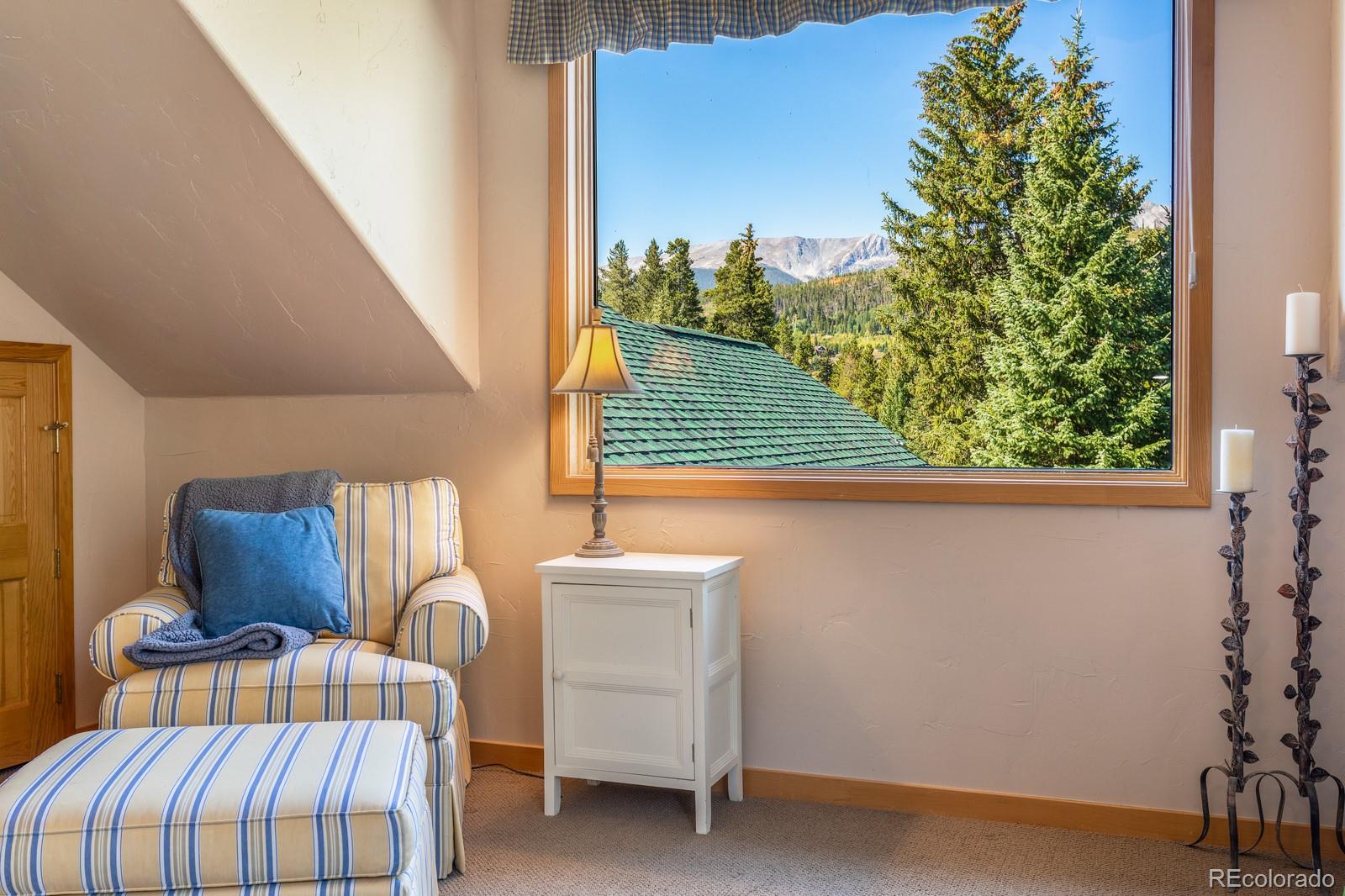 MLS Image #21 for 189  ginger quill lane,breckenridge, Colorado