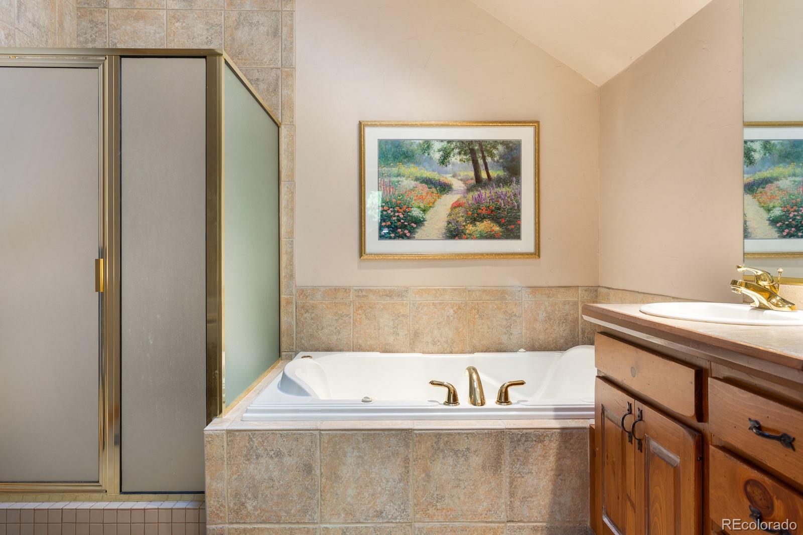 MLS Image #22 for 189  ginger quill lane,breckenridge, Colorado