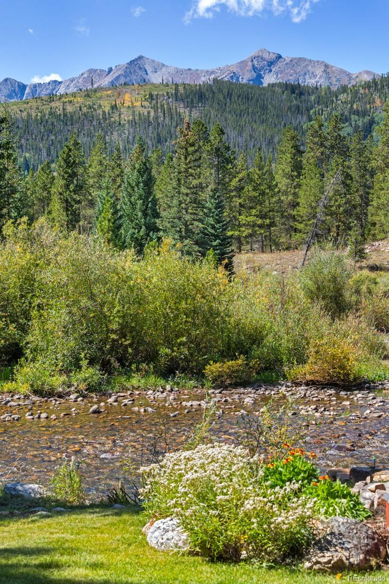 MLS Image #40 for 189  ginger quill lane,breckenridge, Colorado