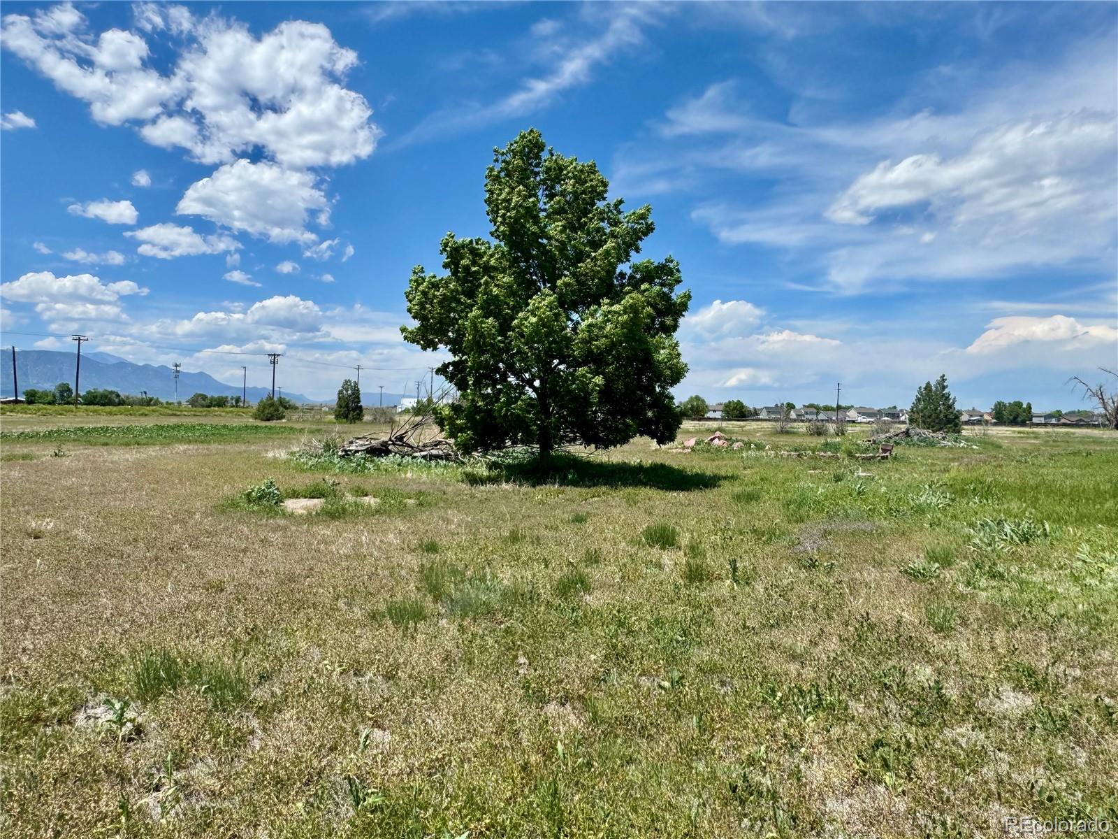 MLS Image #4 for 11585  orleans road,fountain, Colorado