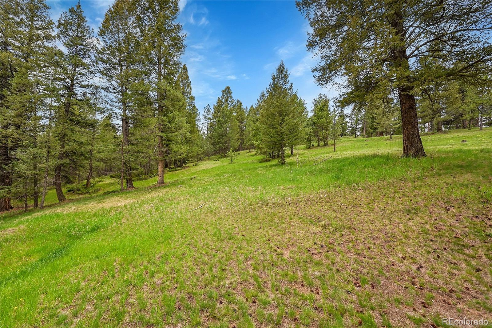 MLS Image #17 for 28065  camel heights circle,evergreen, Colorado
