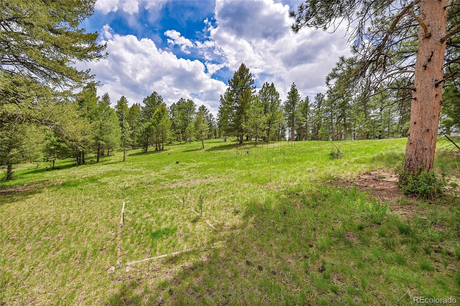 MLS Image #38 for 28065  camel heights circle,evergreen, Colorado