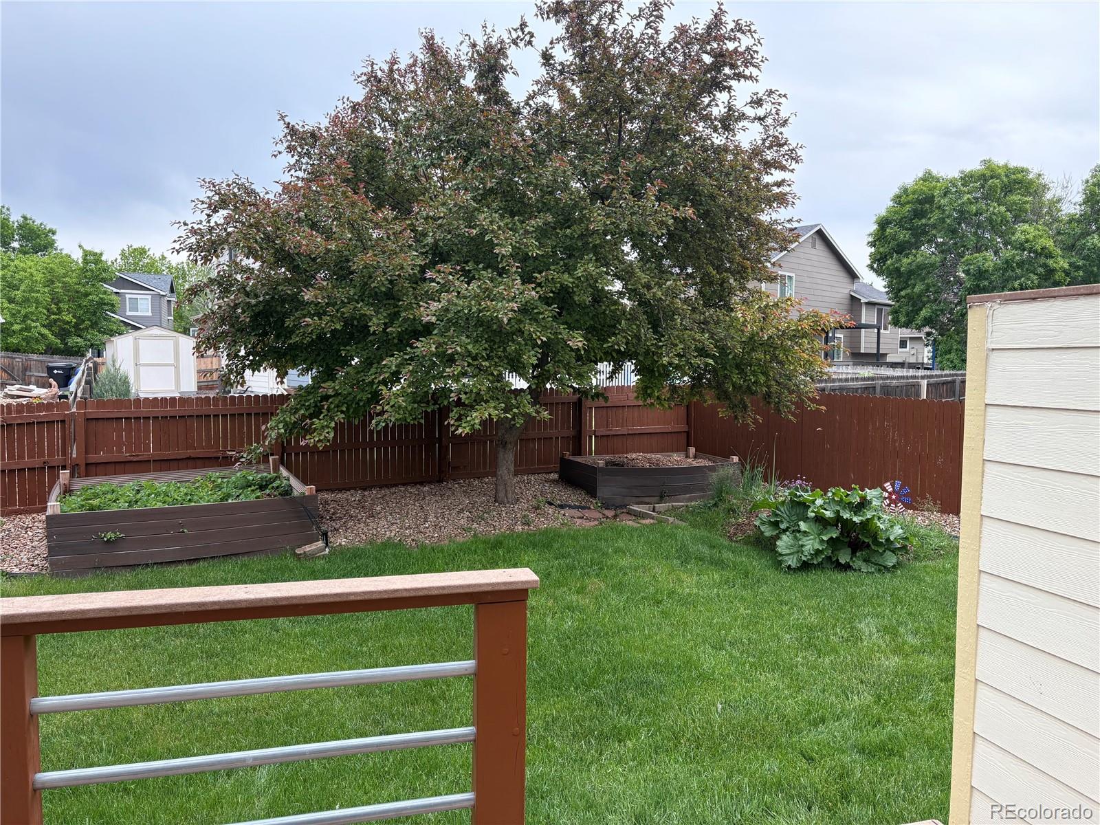 MLS Image #3 for 14642  williams street,thornton, Colorado