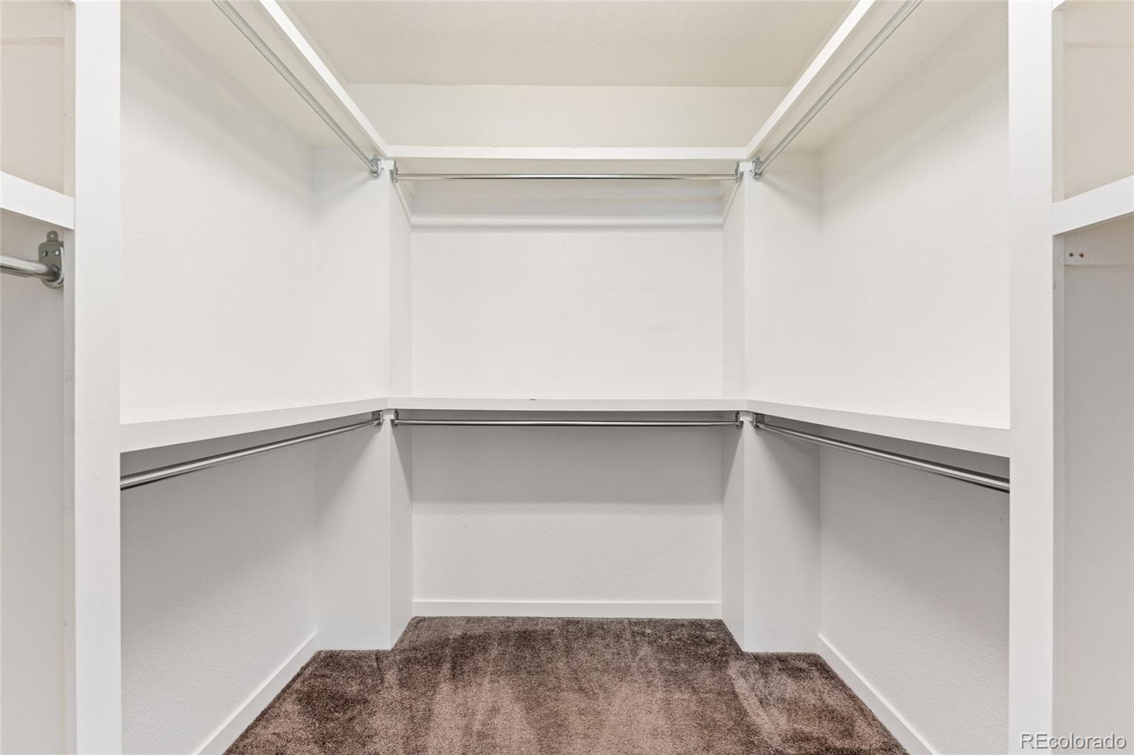 MLS Image #23 for 3692  celestial avenue,castle rock, Colorado