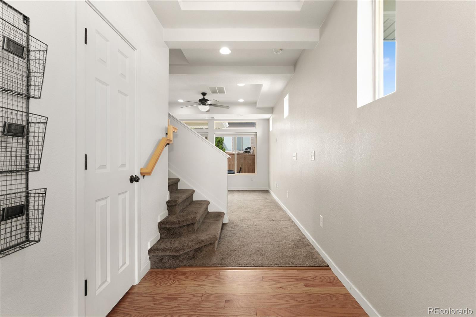 MLS Image #4 for 3692  celestial avenue,castle rock, Colorado