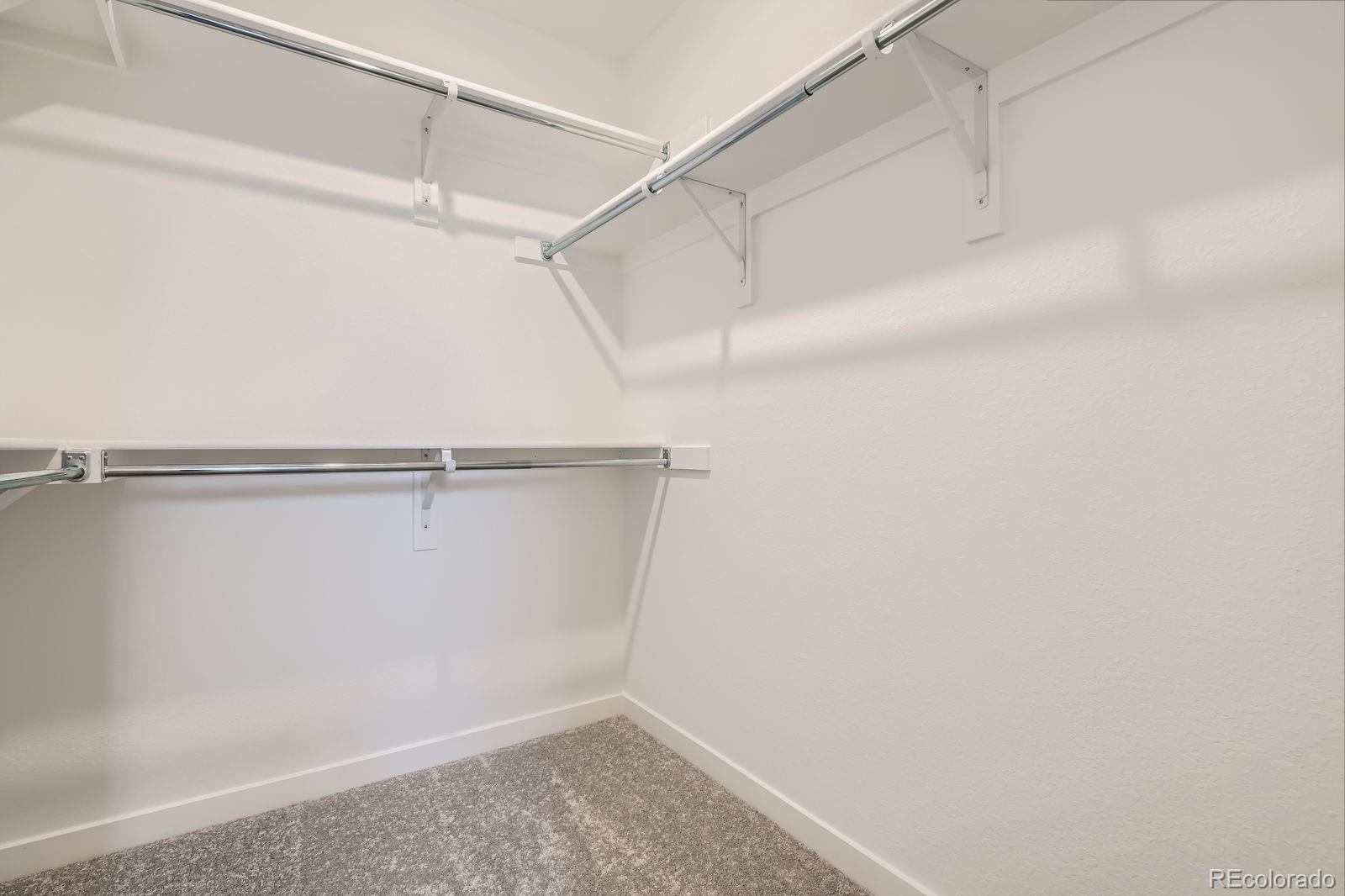 MLS Image #6 for 7260  waterleaf trail,littleton, Colorado