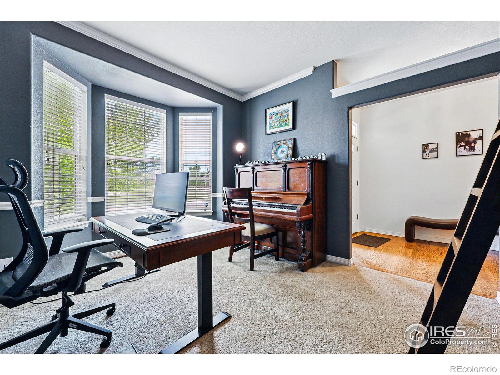 MLS Image #17 for 4915  sage brush drive,broomfield, Colorado