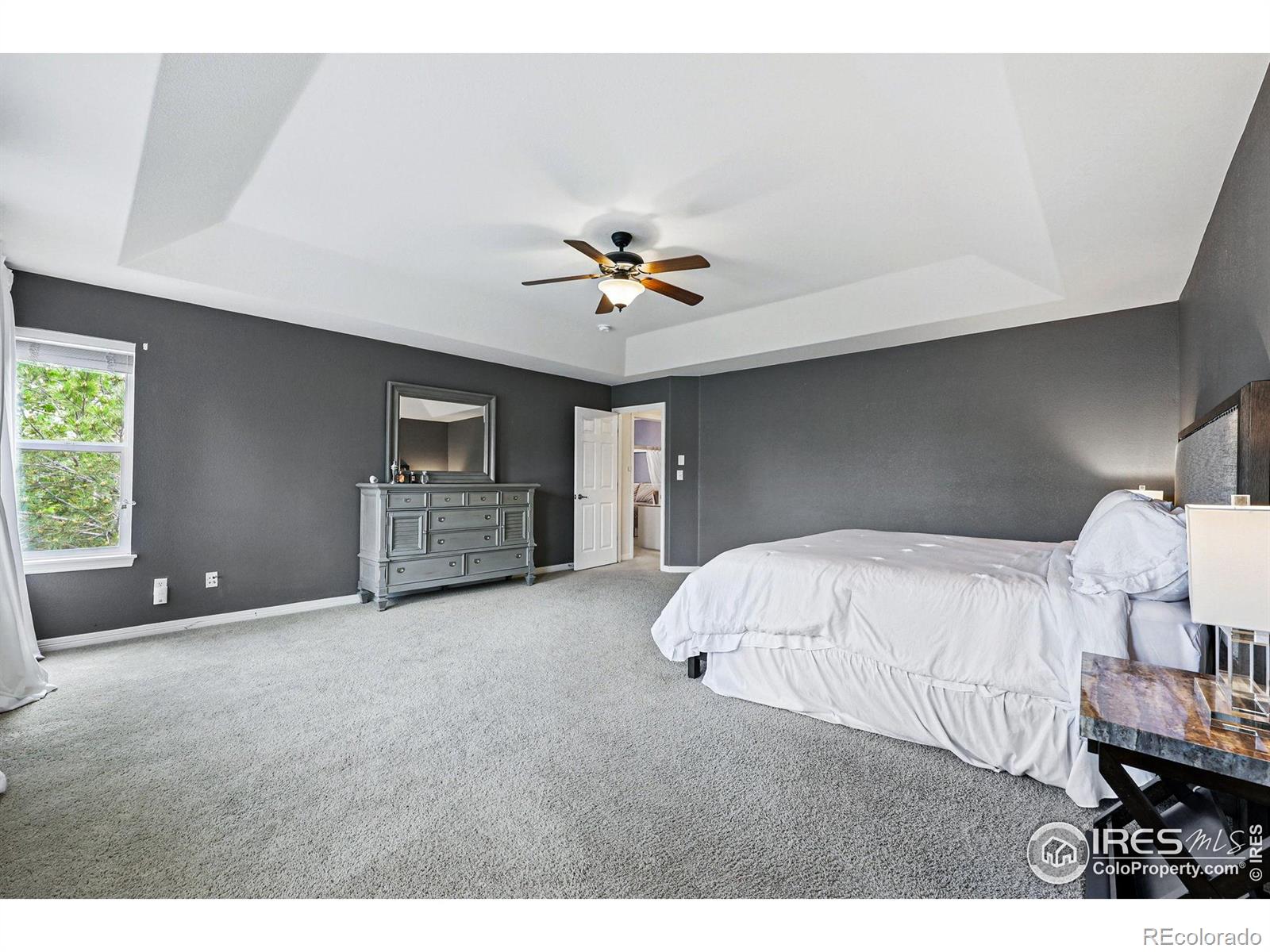 MLS Image #22 for 4915  sage brush drive,broomfield, Colorado