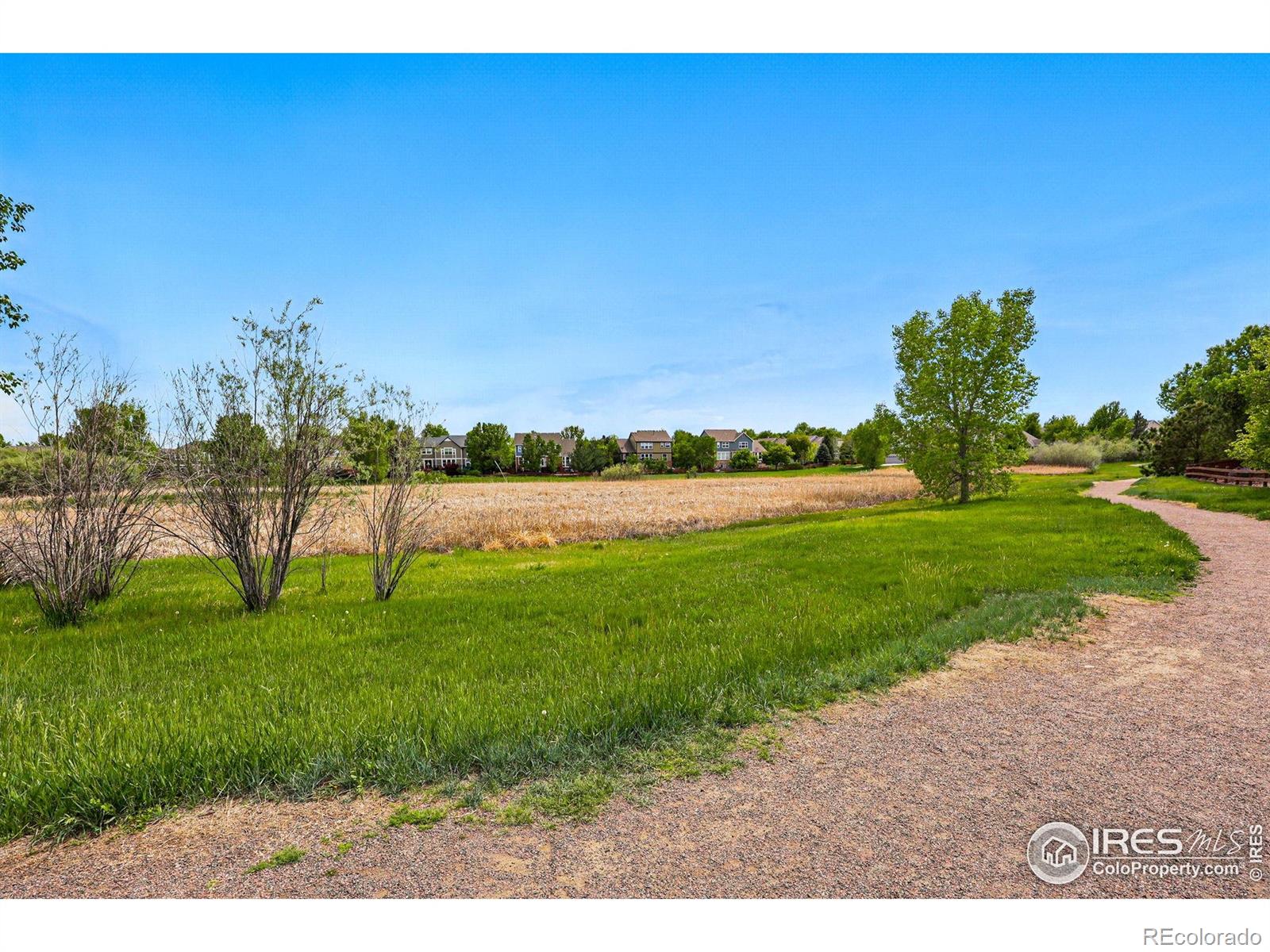 MLS Image #38 for 4915  sage brush drive,broomfield, Colorado