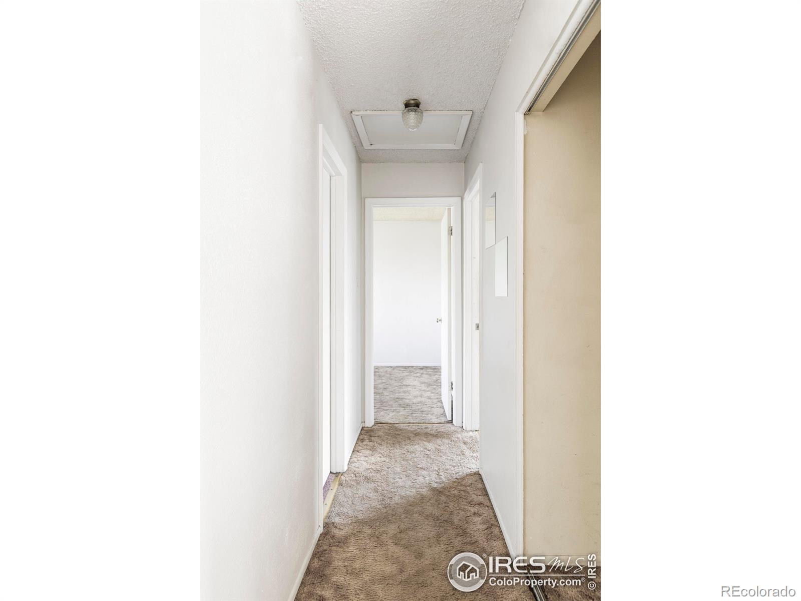 MLS Image #8 for 8125  downing street,denver, Colorado