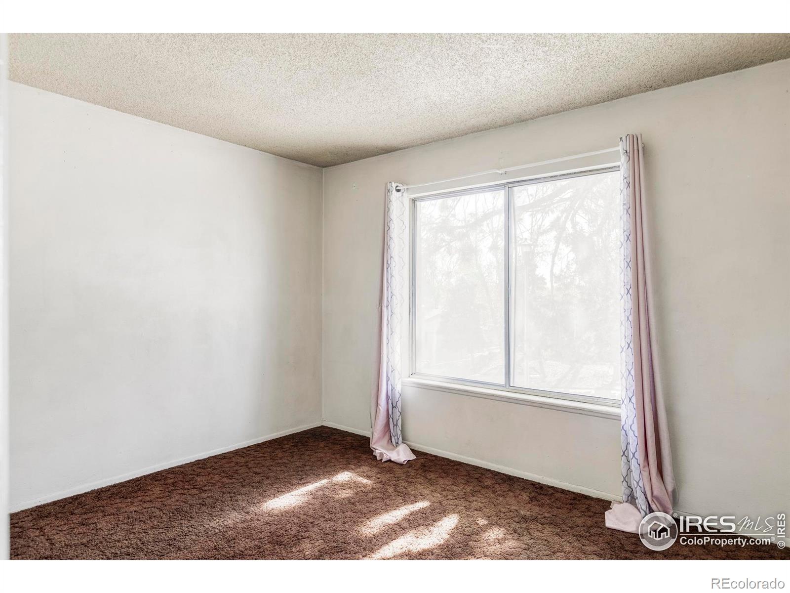 MLS Image #9 for 8125  downing street,denver, Colorado