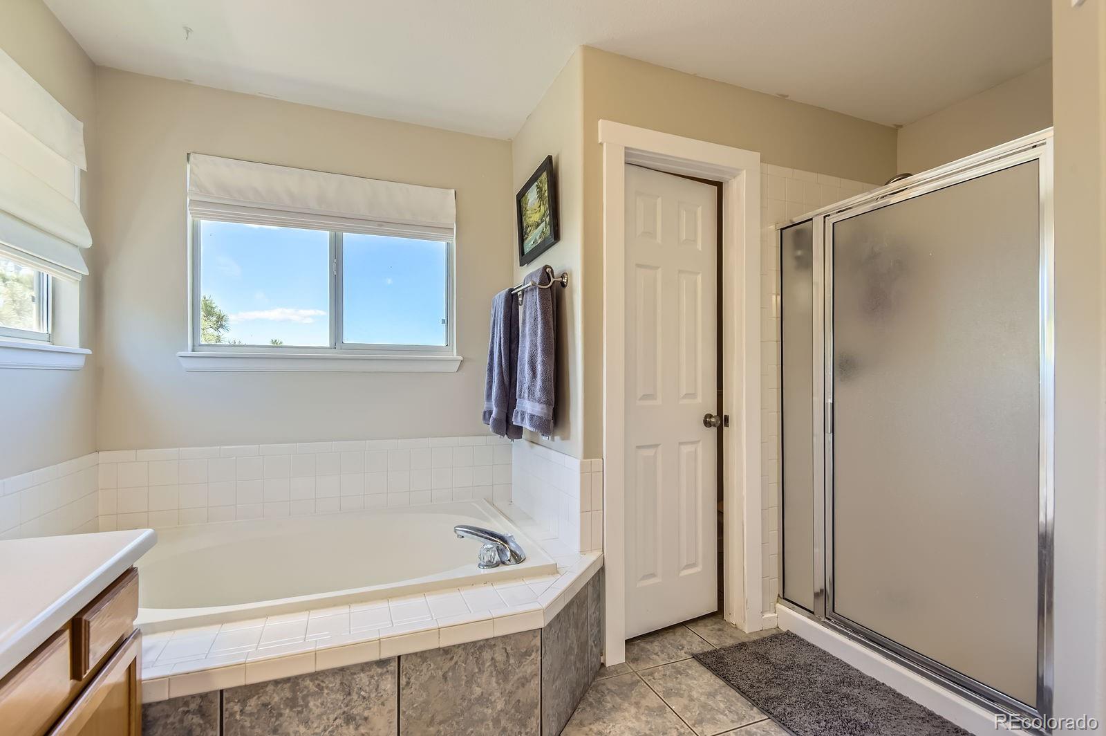 MLS Image #14 for 10155  silver maple circle,highlands ranch, Colorado