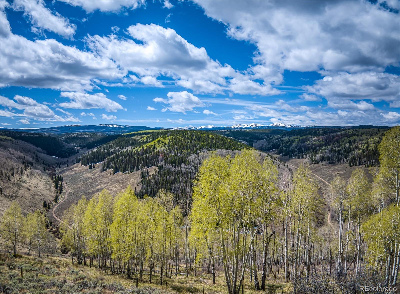 MLS Image #11 for 30  hazel lake drive,cimarron, Colorado