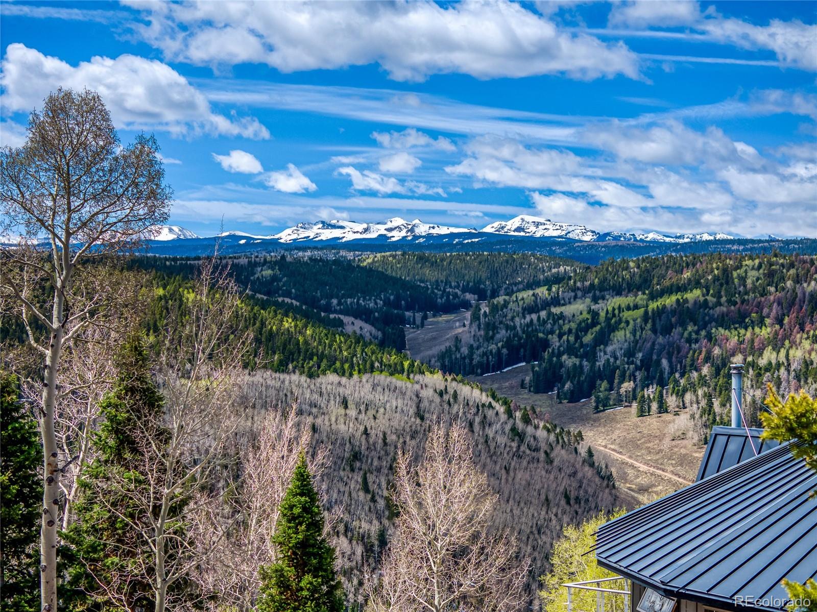 MLS Image #5 for 30  hazel lake drive,cimarron, Colorado