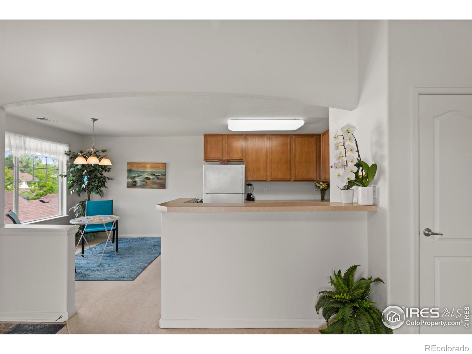 MLS Image #12 for 4665  hahns peak drive,loveland, Colorado