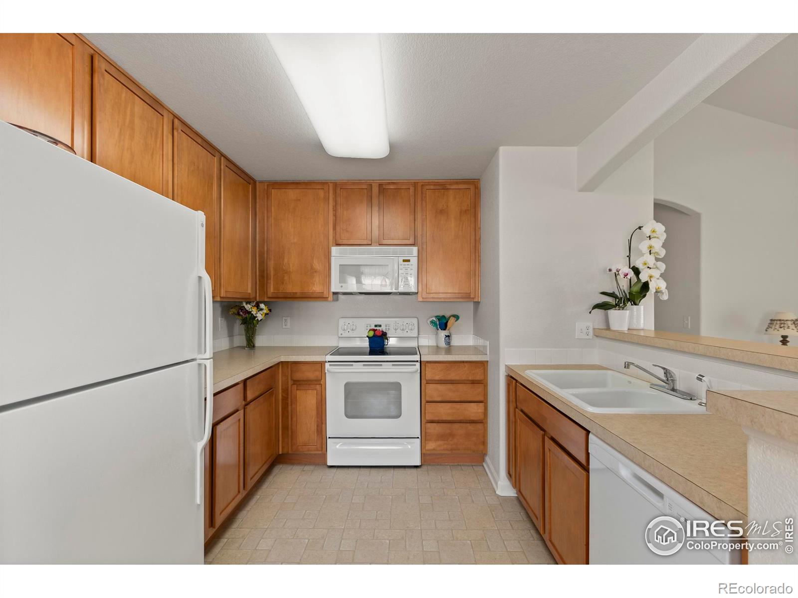 MLS Image #14 for 4665  hahns peak drive,loveland, Colorado