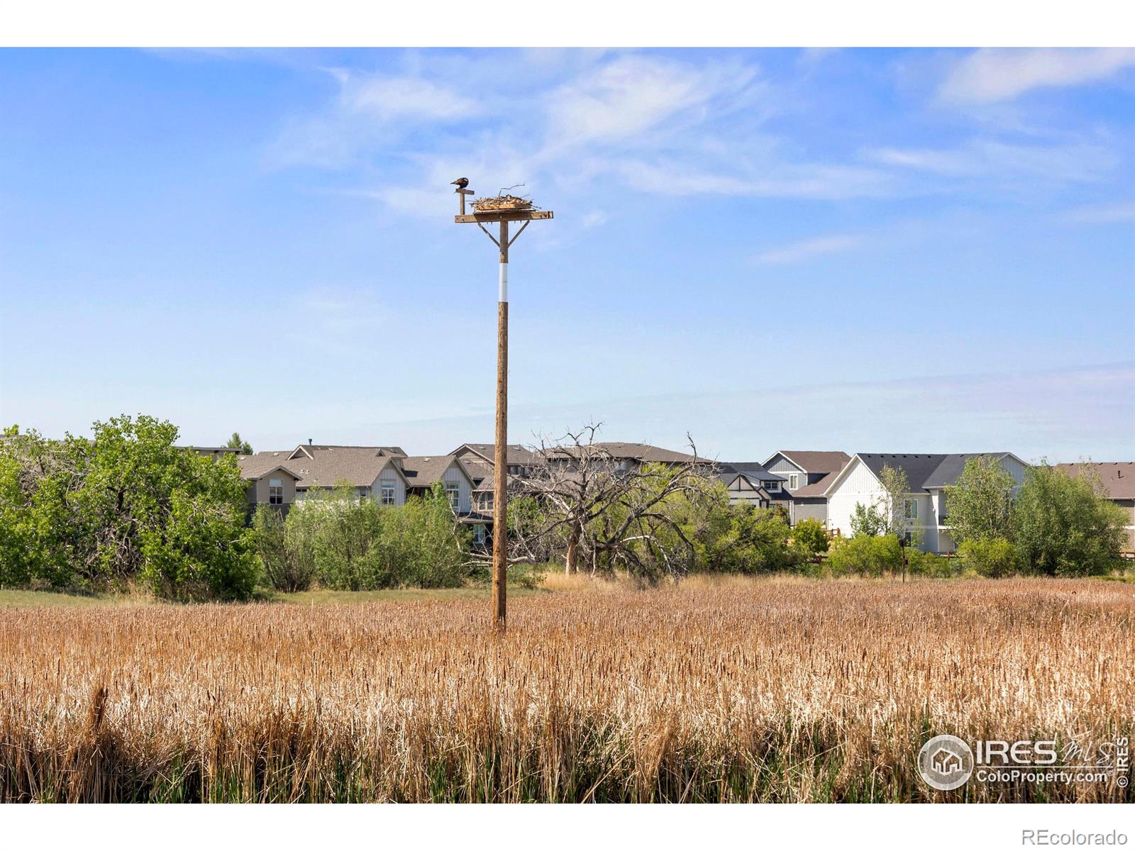 MLS Image #32 for 4665  hahns peak drive,loveland, Colorado