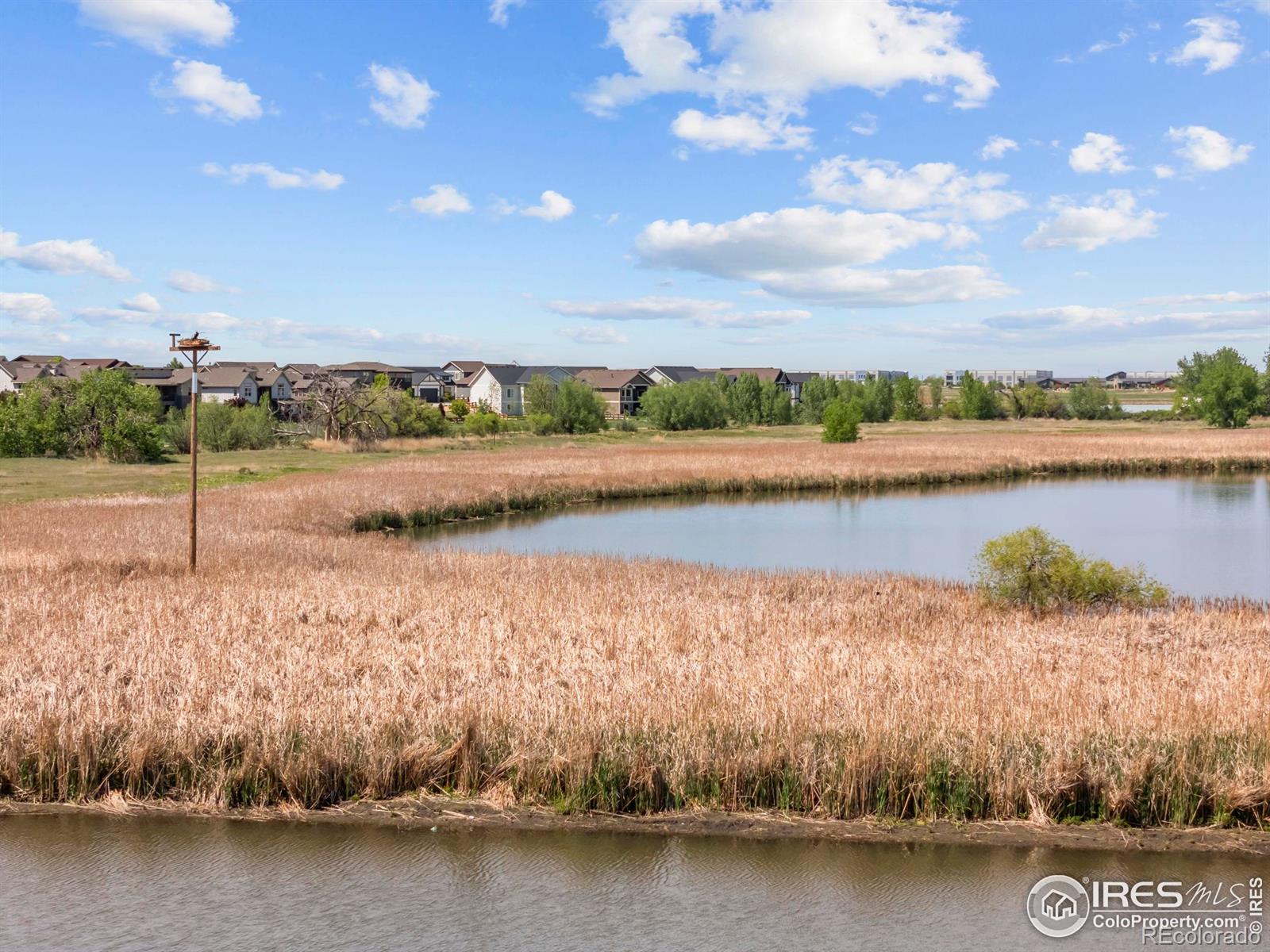 MLS Image #33 for 4665  hahns peak drive,loveland, Colorado