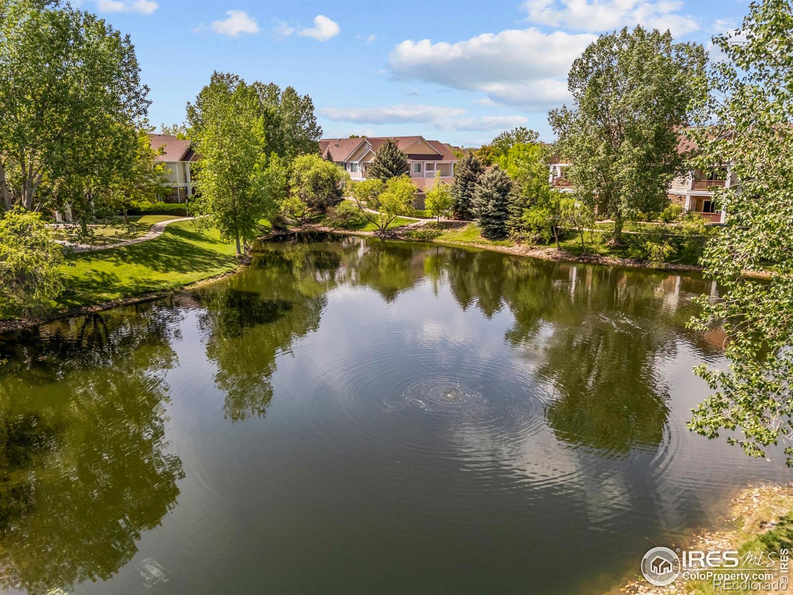 MLS Image #35 for 4665  hahns peak drive,loveland, Colorado