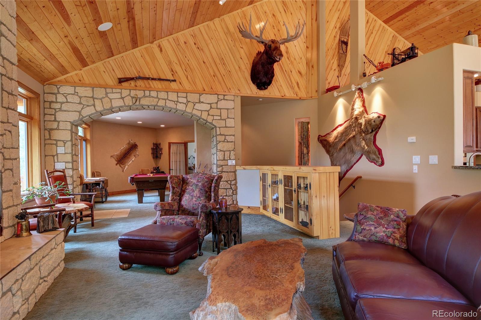 MLS Image #10 for 111 e lovell gulch road,woodland park, Colorado
