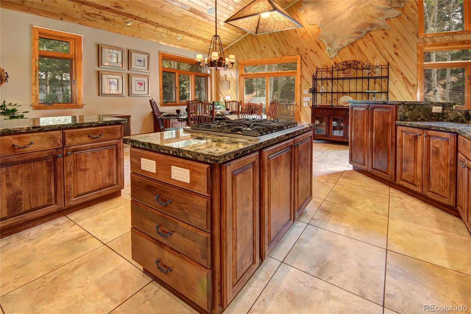 MLS Image #18 for 111 e lovell gulch road,woodland park, Colorado