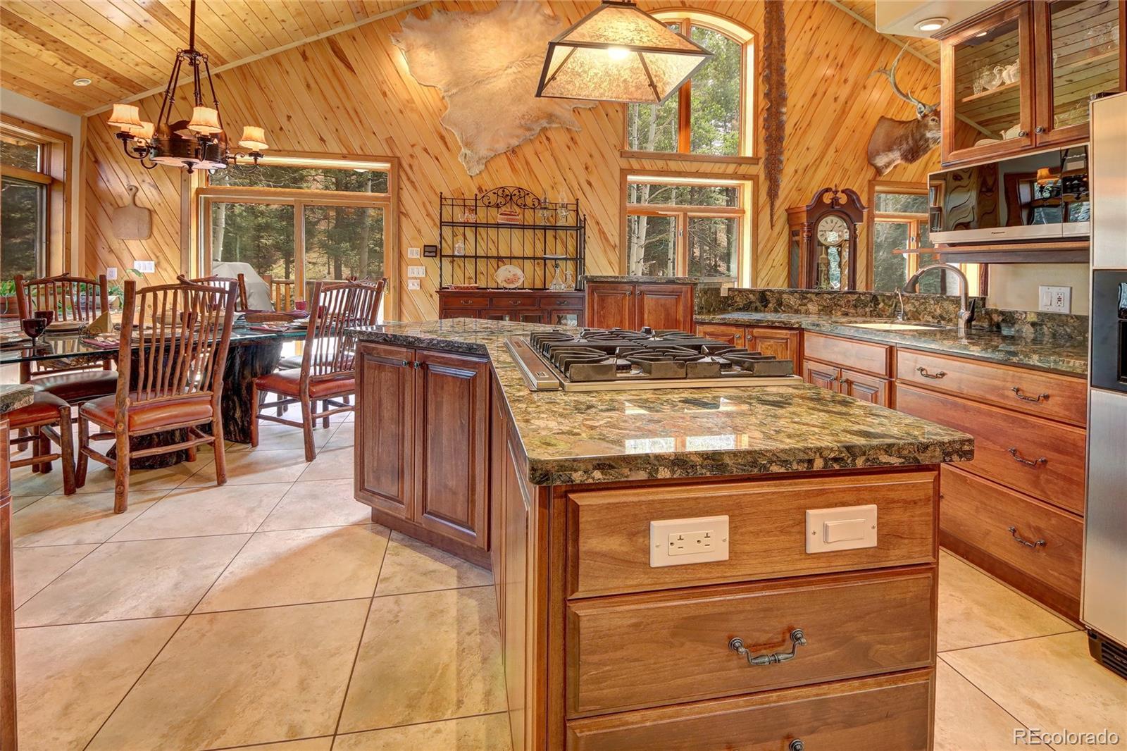 MLS Image #19 for 111 e lovell gulch road,woodland park, Colorado