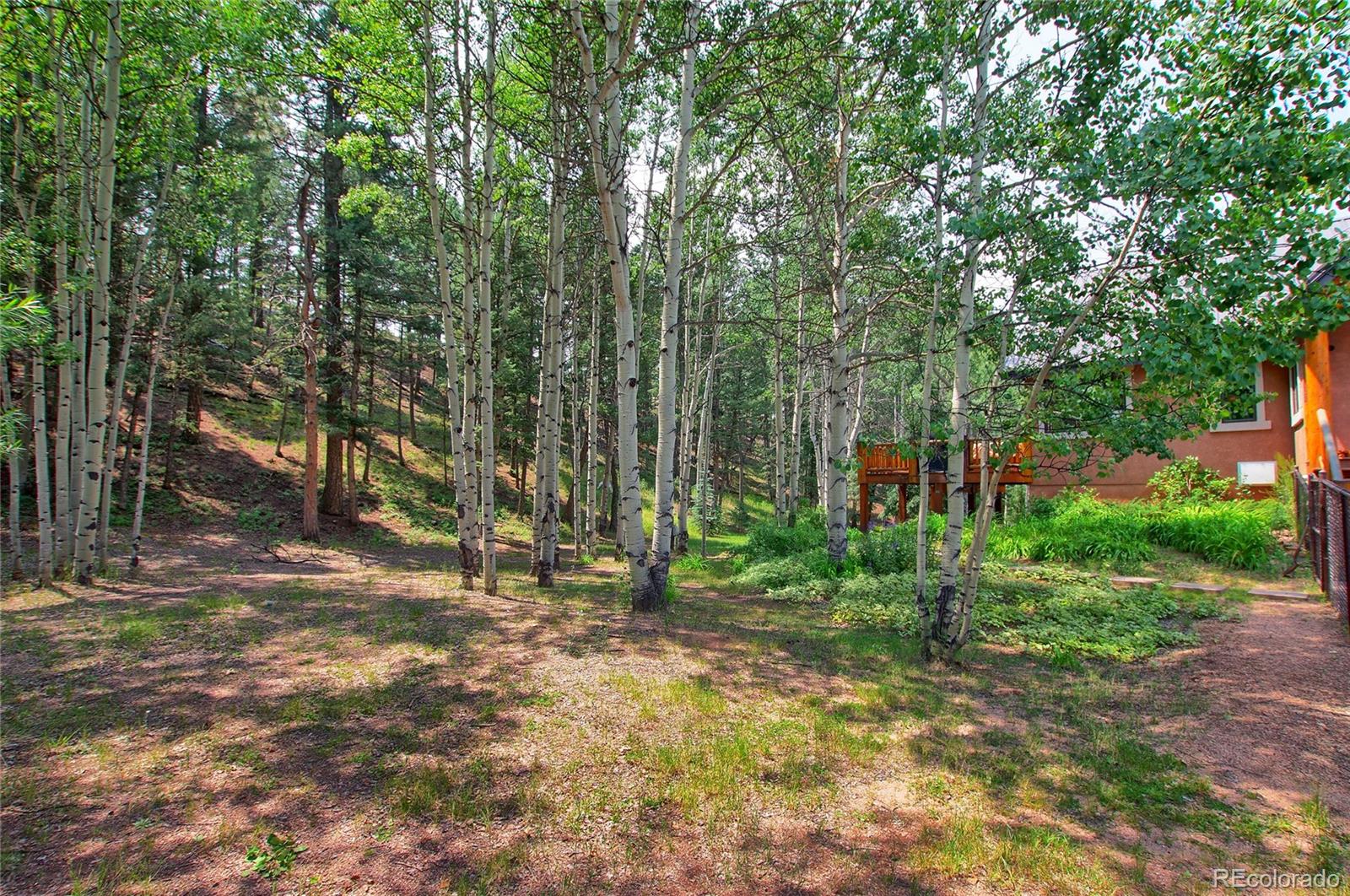 MLS Image #45 for 111 e lovell gulch road,woodland park, Colorado